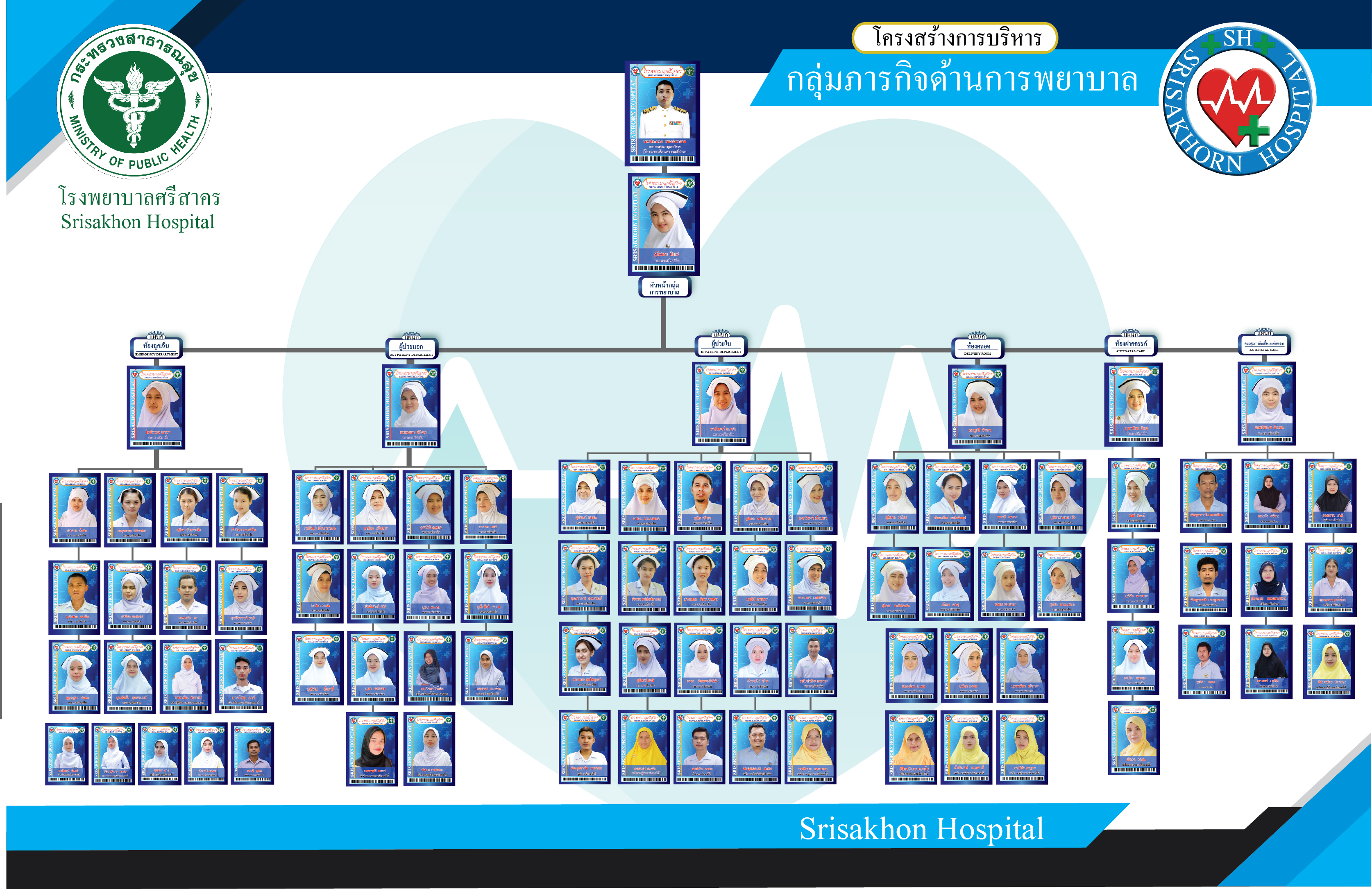 ผังโครงสร้างองค์กรพยาบาล