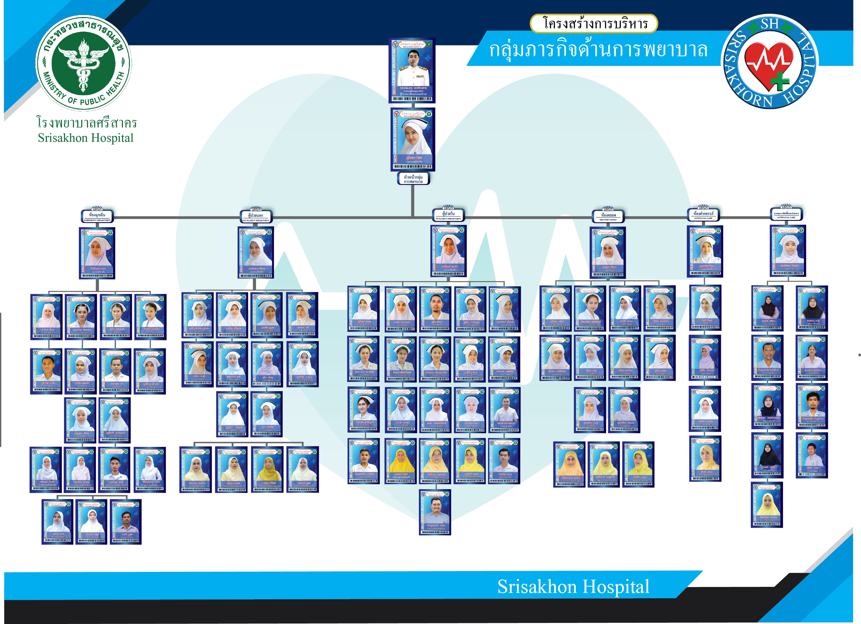 ผังโครงสร้างองค์กรพยาบาล